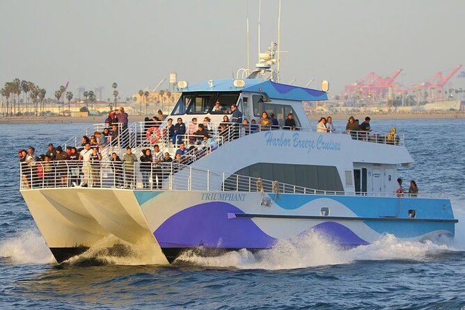 Los Angeles Whale and Dolphin Watching Cruise from West Harbor - Practical Tips for a Smoother Ride (Especially if the Ocean Is Rough)