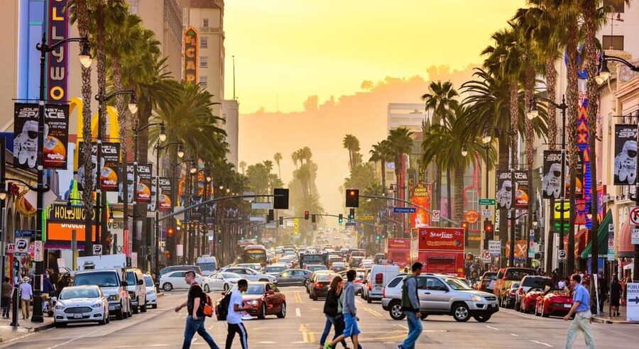 Los Angles: Private Customized Day Tour with Driver - Drop-Off and Pick-Up: The LA Logistics That Matter
