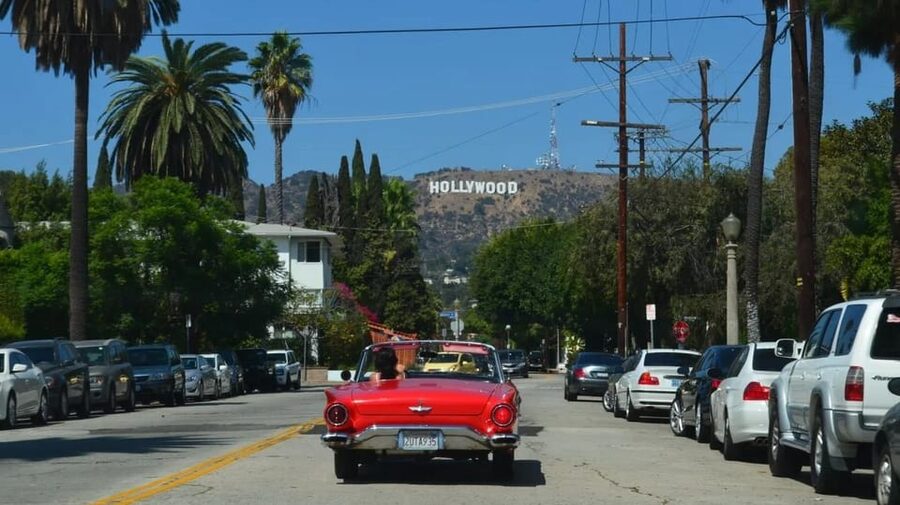 Los Angles: Private Customized Day Tour with Driver - Driver vs. Guide: What You Get (and What You Don’t)