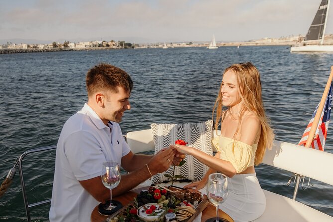 Luxury Shared E-Boat Cruise with Wine, Charcuterie & Sea Lions Spotting - Wildlife spotting: how to actually improve your odds
