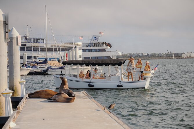 Luxury Shared E-Boat Cruise with Wine, Charcuterie & Sea Lions Spotting - Price and value: is $119 for 2 hours worth it?