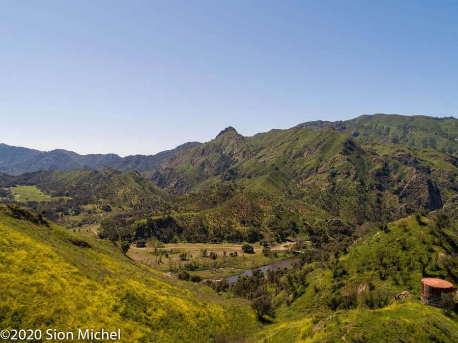 Malibu: Coastal Gems Scenic Driving Tour with Audio Guide - Malibu Farmers Market for a Real-Life Food Moment