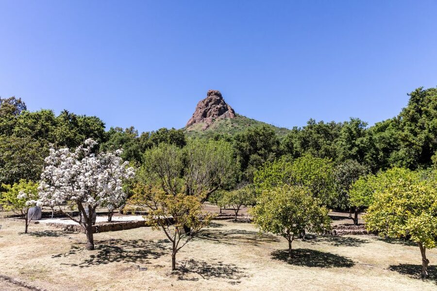 Malibu: Guided Vineyard Hike with Photo Stops and Wine - The ending: two wine cans to take home