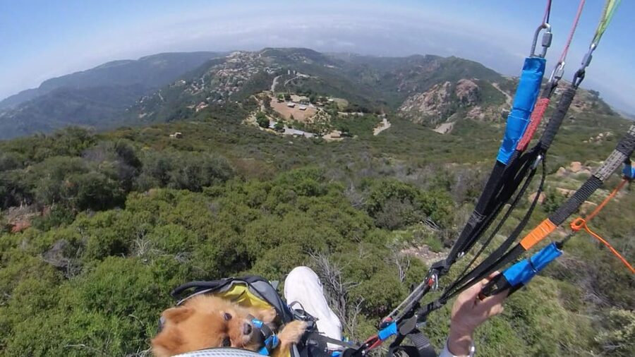 Malibu Hills to Beach: Tandem Paragliding Flight Adventure - The Malibu view: what you’ll notice over the Pacific