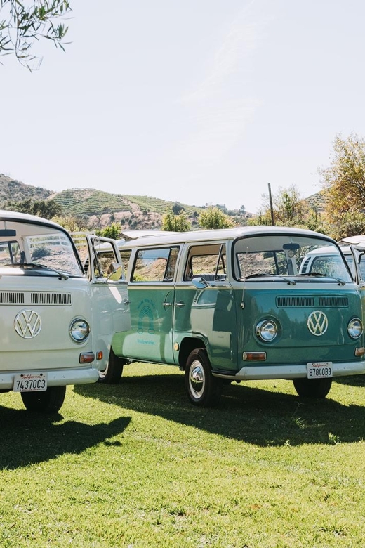 Malibu: Vintage VW Bus and Vineyard Tour - The Photo Moments With the Vintage VW Bus