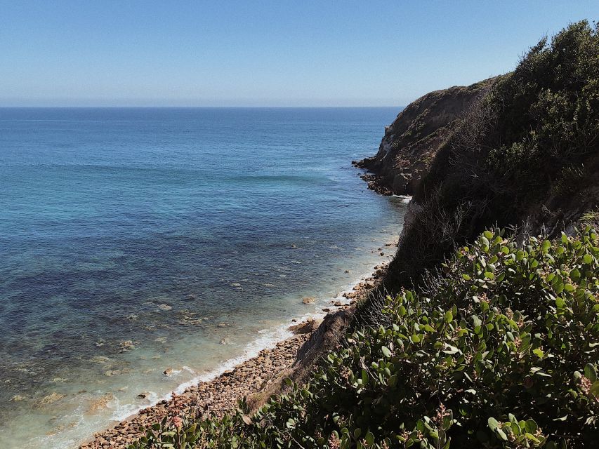 Malibu: Vintage VW Sightseeing Tour and Wine Tasting - Who this tour is perfect for (and who should skip it)