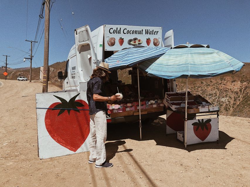 Malibu: Vintage VW Sightseeing Tour and Wine Tasting - Point Dume: the stop that earns its place