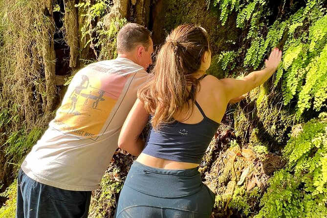 Malibu Waterfall eMTB & Hiking Adventure (Beginner) - Premium eMTBs and the safety kit that lowers the stress
