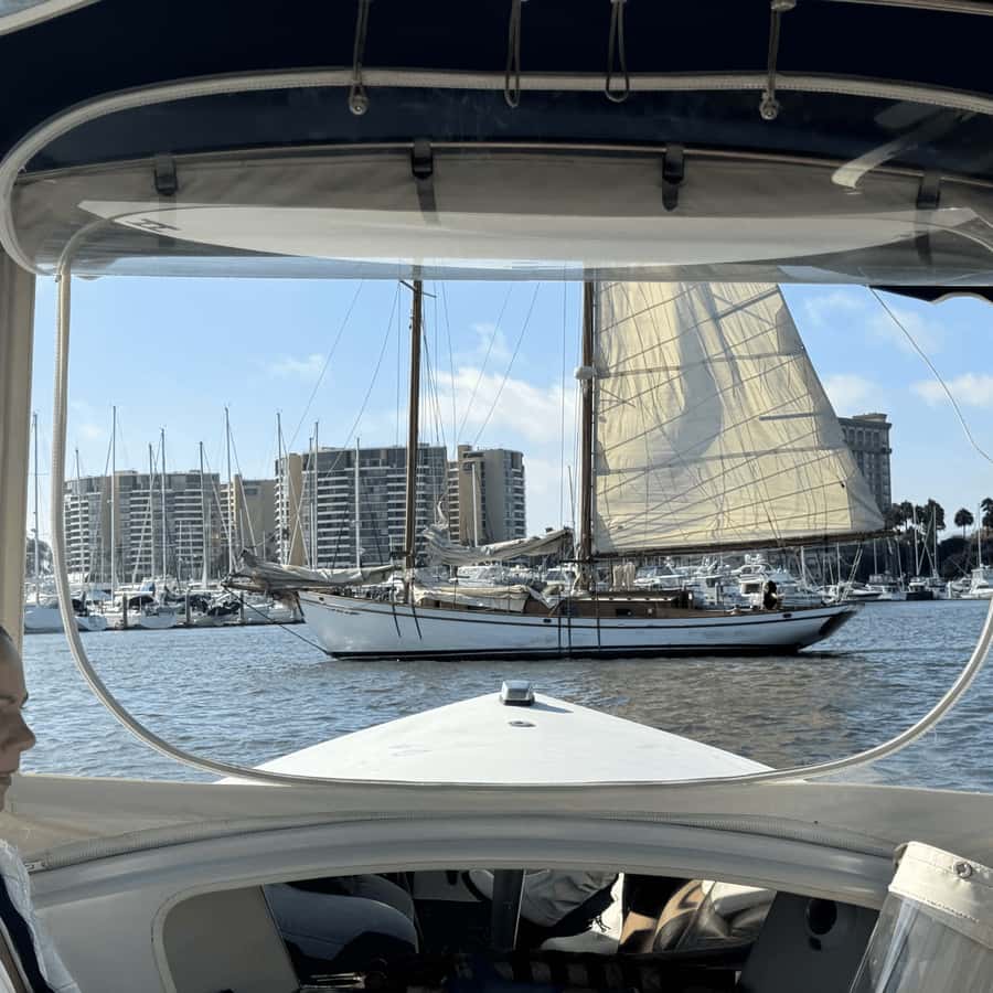 Marina del Rey: 1-Hour Boat Tour - Why this 1-hour Marina del Rey cruise feels worth the money
