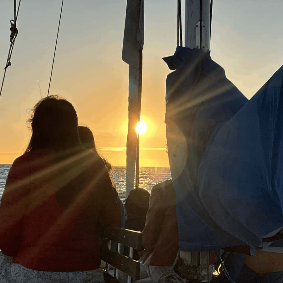 Marina del Rey: 1-Hour Boat Tour - The Marina del Rey loop: yachts, houseboats, and ocean air