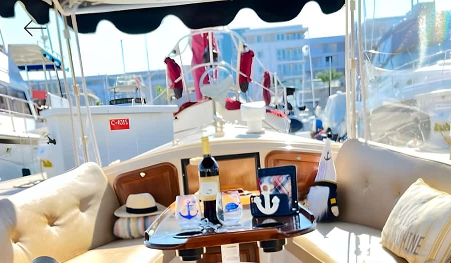 Marina Del Rey Luxury Boat Cruise Wine, Charcuterie Sealions - Quick Hits: What Makes This Cruise Worth It