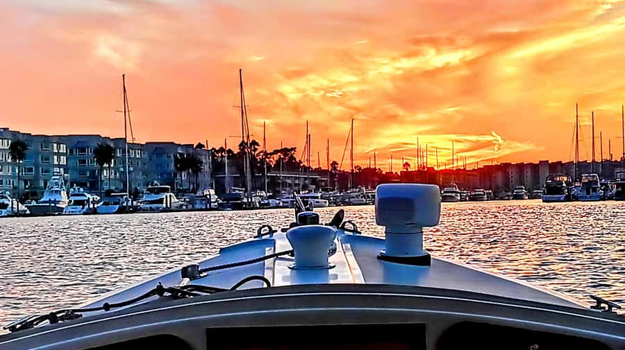Marina Del Rey Luxury Boat Cruise Wine, Charcuterie Sealions - Marina Del Rey by Duffy Boat: The Real Feel of the 2 Hours