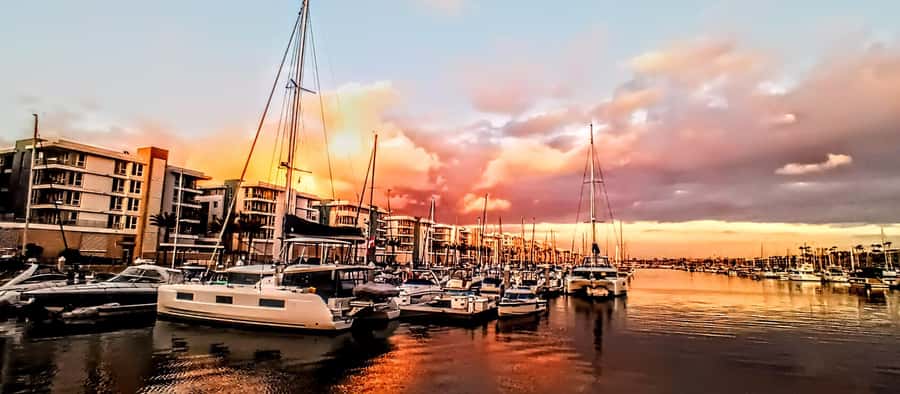 Marina Del Rey Luxury Boat Cruise Wine, Charcuterie Sealions - Price and Value: Is $149 a Good Deal for 2 Hours?
