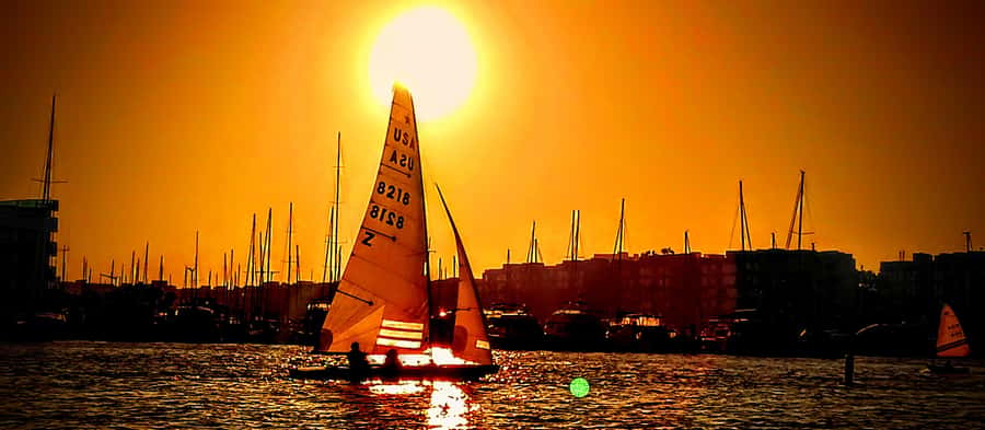 Marina Del Rey Luxury Boat Cruise Wine, Charcuterie Sealions - Rules That Affect Your Experience (So You’re Not Surprised)
