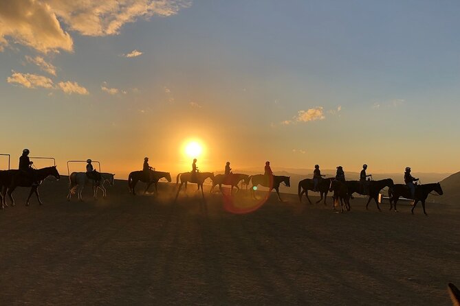 Mulholland Trail Horseback Tour - Should You Book Mulholland Trail Horseback Tour?