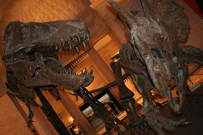 Natural History Museum of Los Angeles County Admission - Ticket Value: What Your $18 Admission Really Buys
