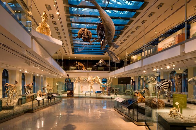 Natural History Museum of Los Angeles County Admission - Special Exhibition: Fierce! The Story of Cats (Separate Ticket)