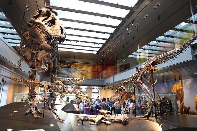 Natural History Museum of Los Angeles County Admission - Dino Hall and the Dino Lab: Fossils That Feel Like Characters