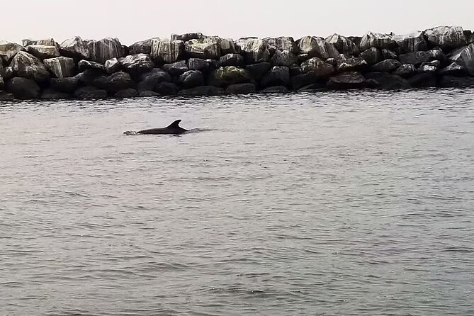 One Hour Cruise Around Marina del Rey - Stop 3: Playa del Rey and the jet-spotting reality check (10 minutes)