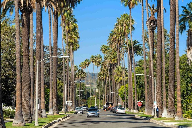 Private 4-Hour Limo Tour of LA by a TV Personality with Drinks - Who this limo tour suits best