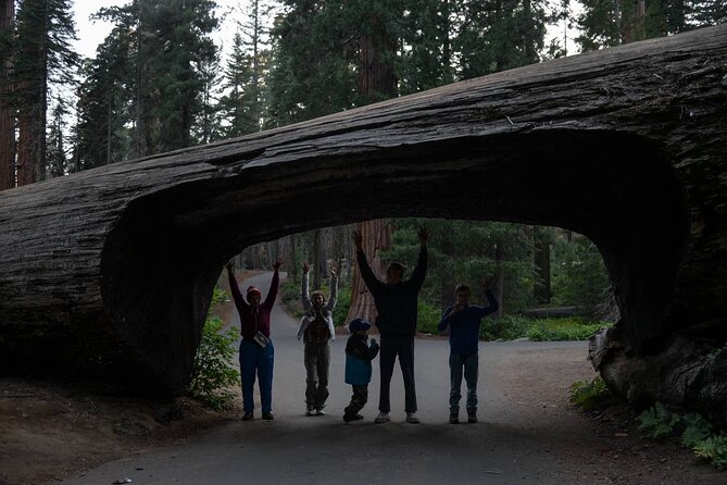 Private Day Tour to Sequoia and Kings Canyon Parks From LA - The LA-to-sequoias reality check: long day, big payoff