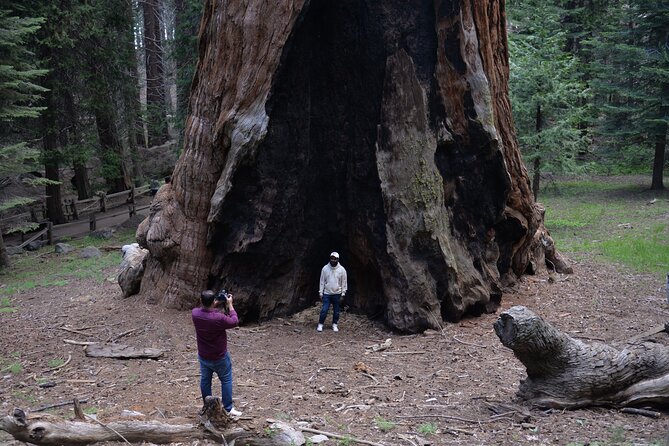 Private Day Tour to Sequoia and Kings Canyon Parks From LA - Stop: Tunnel Log drive-through (short time, big memory)