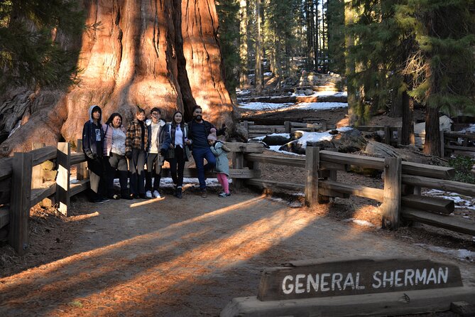 Private Day Tour to Sequoia and Kings Canyon Parks From LA - Kings Canyon sequoia grove and the General Grant tree