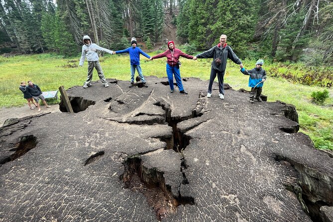 Private Day Tour to Sequoia and Kings Canyon Parks From LA - Pickup and getting around: meet-up matters more than you think