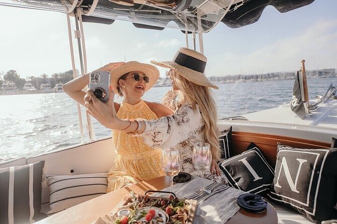 Private E-Boat Cruise: Wine, Charcuterie and Sea Lion Spotting - Sea lion spotting after the dock: the moment that makes it feel special