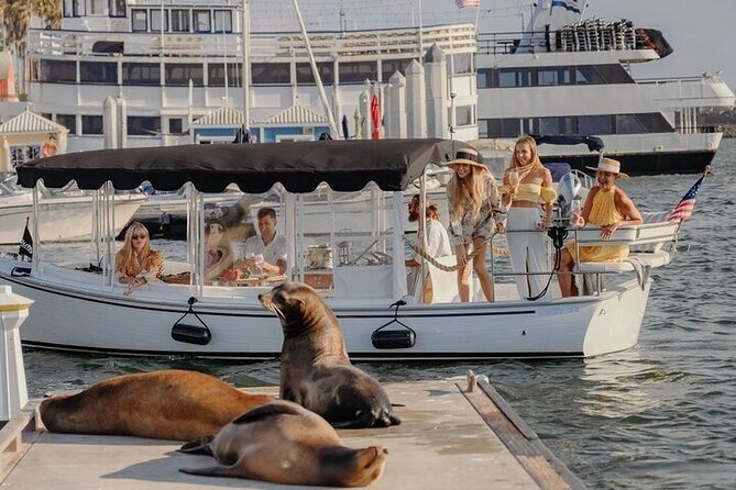 Private E-Boat Cruise: Wine, Charcuterie and Sea Lion Spotting - Stop at the marina: what to watch for in the first part of the ride