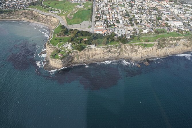Private Helicopter Tour of Rancho Palos Verdes, Los Angeles, and Long Beach - Wildlife Chances: When the Coast Gets Alive