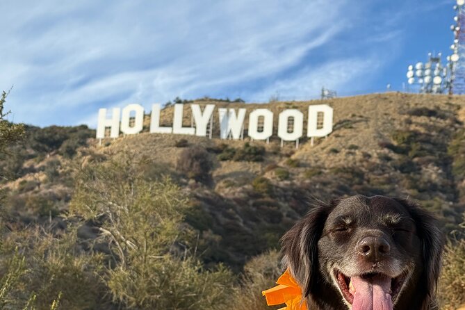 Private Hollywood Sign Hiking Tour with Select Hotel Pickup - Griffith Park Trails: A Famous Neighborhood You’ll Actually Get To Experience