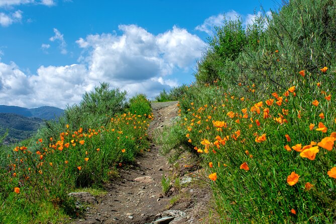 Private Malibu Waterfall Hike & Pacific Coast Drive - Price and value: is $565 per group worth it?