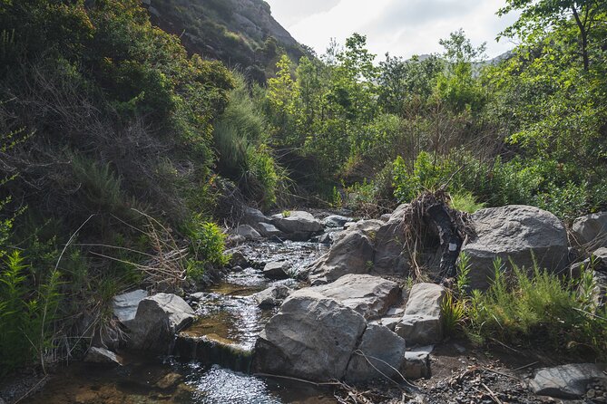 Private Malibu Waterfall Hike & Pacific Coast Drive - Should you book this Malibu waterfall hike?