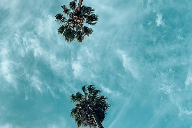 Private Photo Tour of the Best Instagram Spots in Los Angeles - The real appeal: a private LA photo plan that doesn’t waste time