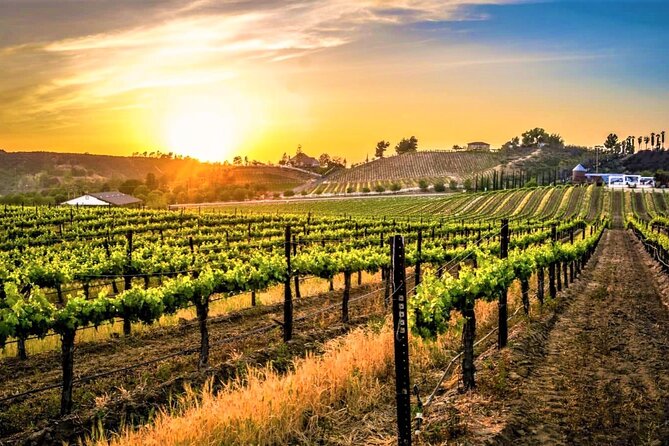 Private Temecula Excursion from Anaheim, Irvine, Newport Beach - Key Highlights That Make This Tour Work