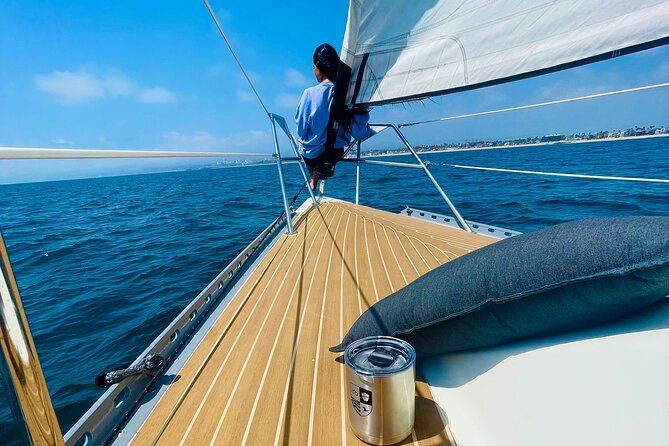 Private Therapy Sailing Adventure - Wildlife in Santa Monica Bay: what you can realistically hope for