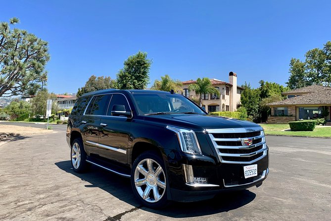 Private Tour of Los Angeles in a SUV with Experienced Guide - Venice Canals to Venice Beach Boardwalk: people-watching without the chaos