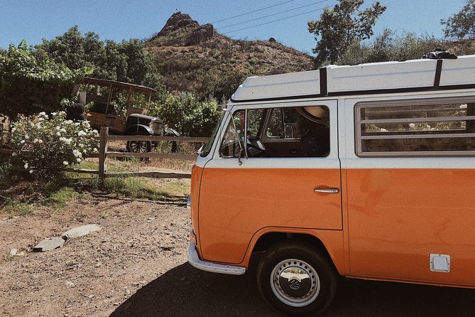 Private Vintage VW Hippie Tour to Malibu with wine tasting - Price and value: does $195 make sense?