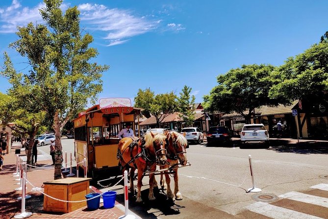 Santa Barbara Wine Tasting Day Tour from Los Angeles - Cachuma Lake and Los Padres National Forest views: the scenery you came for
