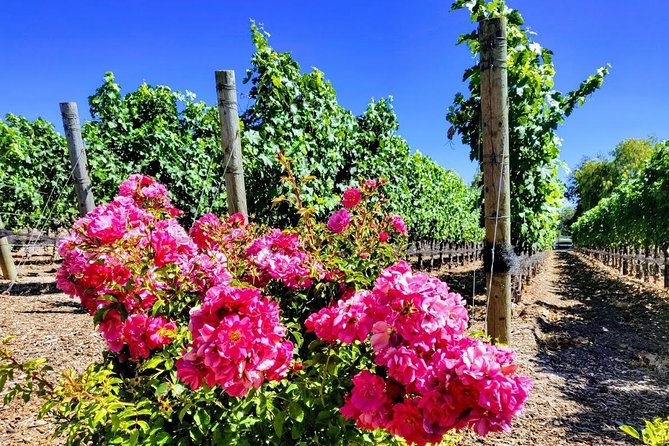 Santa Barbara Wine Tasting Day Tour from Los Angeles - Price and value: $419 makes sense if you use the included tasting well