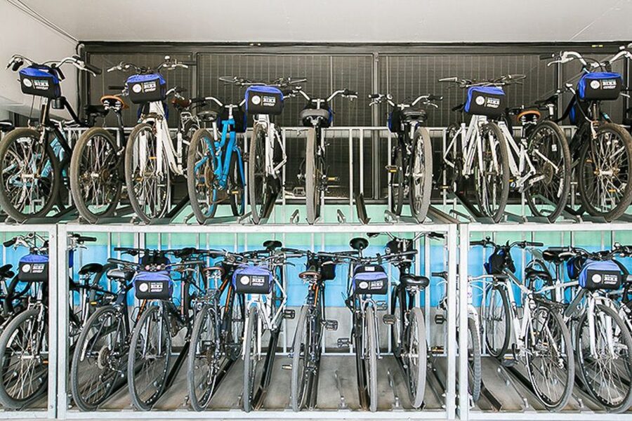 Santa Monica: Full Day Bike Rental - What to Bring and What the Rules Mean in Real Life