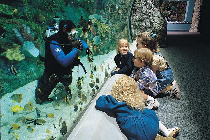 Skip the Ticketing Line: Aquarium of the Pacific General Admission Ticket - What Your General Admission Covers: 19 Habitats Across the Pacific