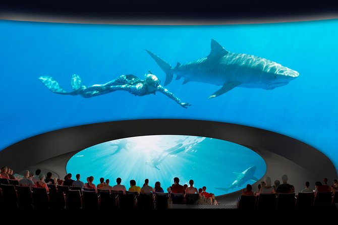 Skip the Ticketing Line: Aquarium of the Pacific General Admission Ticket - Top Exhibits to Prioritize: Shark Lagoon, Lorikeet Forest, and Penguins