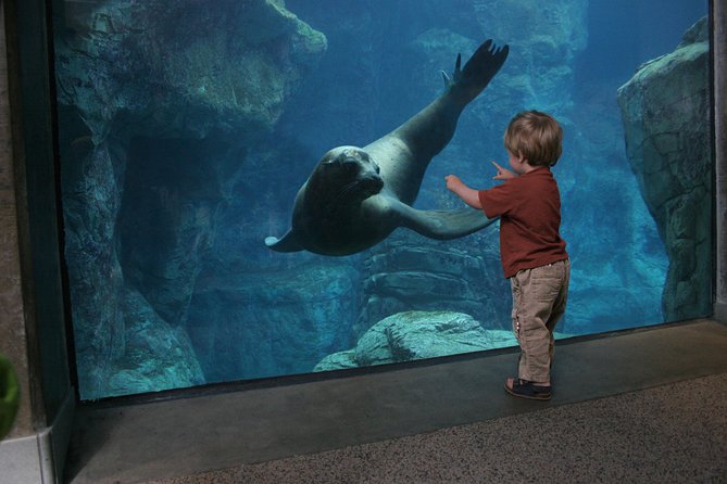 Skip the Ticketing Line: Aquarium of the Pacific General Admission Ticket - Parking and Getting There From Los Angeles and Long Beach