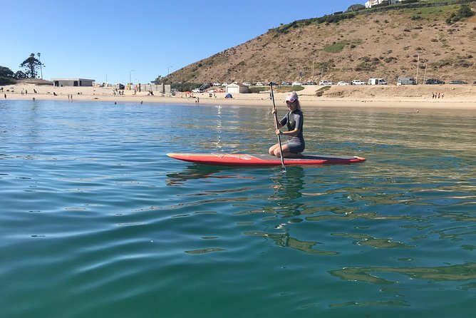 Stand up Paddle Board in Malibu - Wildlife spotting on the route: seals, dolphins, and sea lions