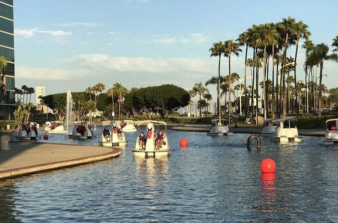 Swan Boat Rental at Rainbow Lagoon in Long Beach - Price and value: $13 for an hour on the water is a win