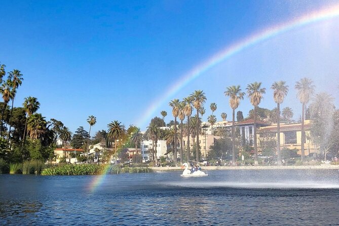 Swan Boat Rental in Echo Park - Day vs night swan boats: when the vibe changes