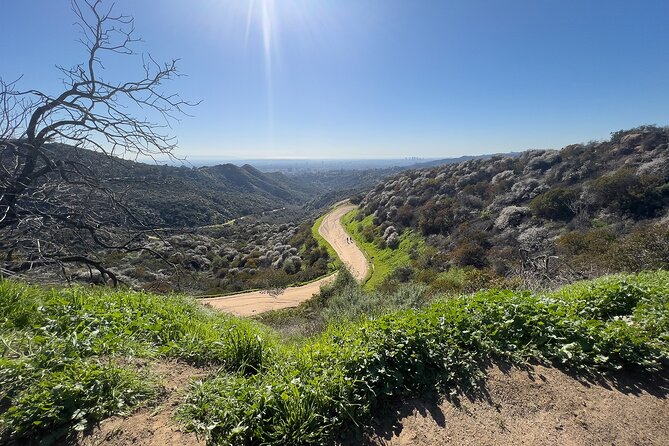 The Premier Hollywood Sign Tour: Nature in the Heart of the City - Four Southern California habitats you can spot as you hike