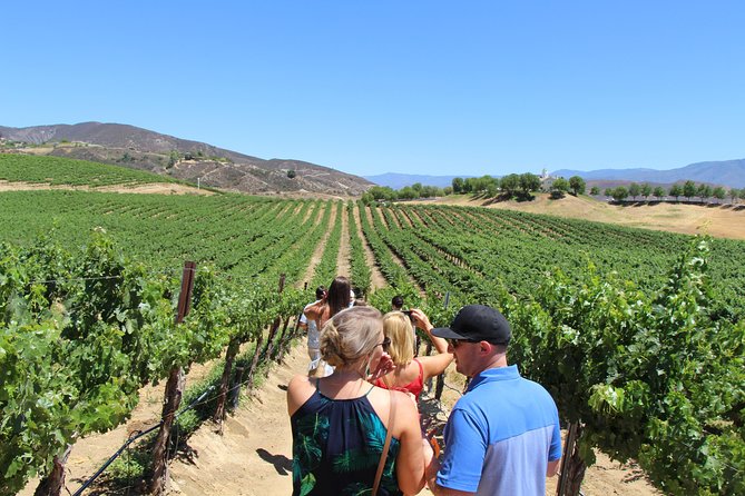 The Shared Temecula Wine Tour from Anaheim - Old Town Temecula before wine: a smart warm-up stop
